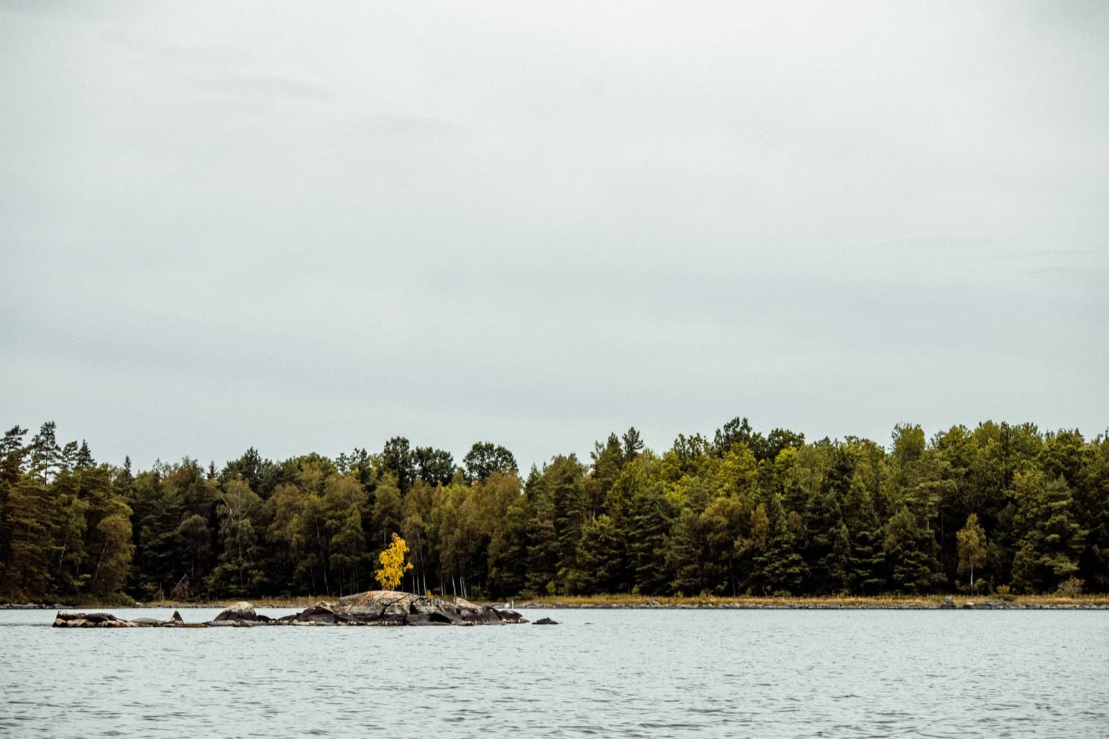 Nature Background