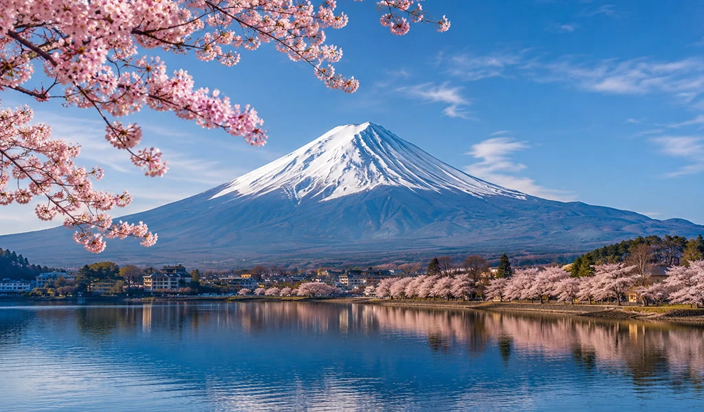 Pertama Kali ke Tokyo: Persiapan, Dokumen Penting, & Kesalahan Umum